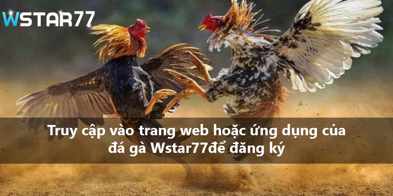 Truy cập vào trang web hoặc ứng dụng của đá gà Wstar77để đăng ký