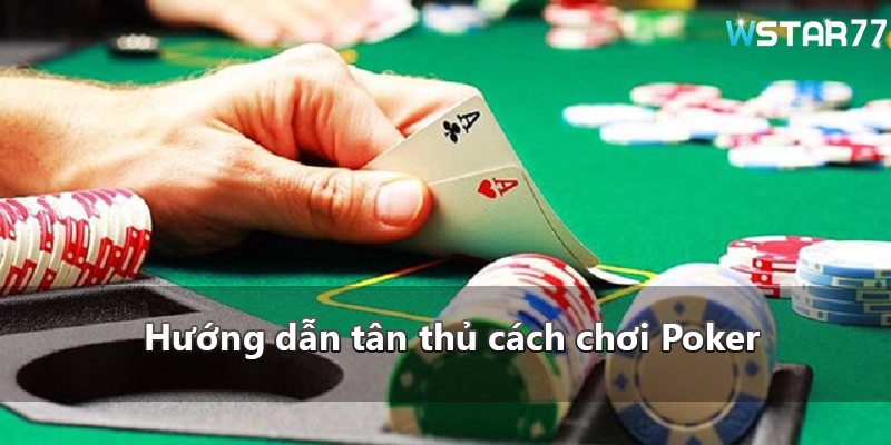 Hướng dẫn tân thủ cách chơi Poker